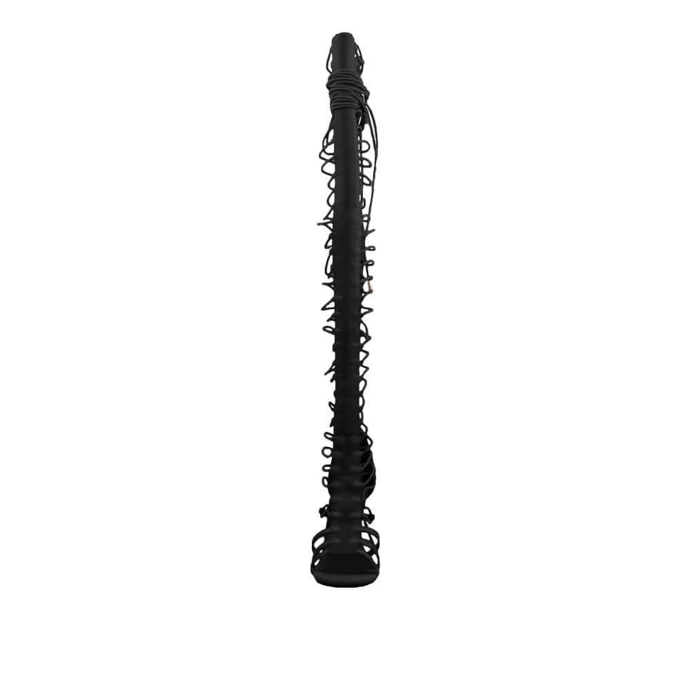 Arilia - Image 4